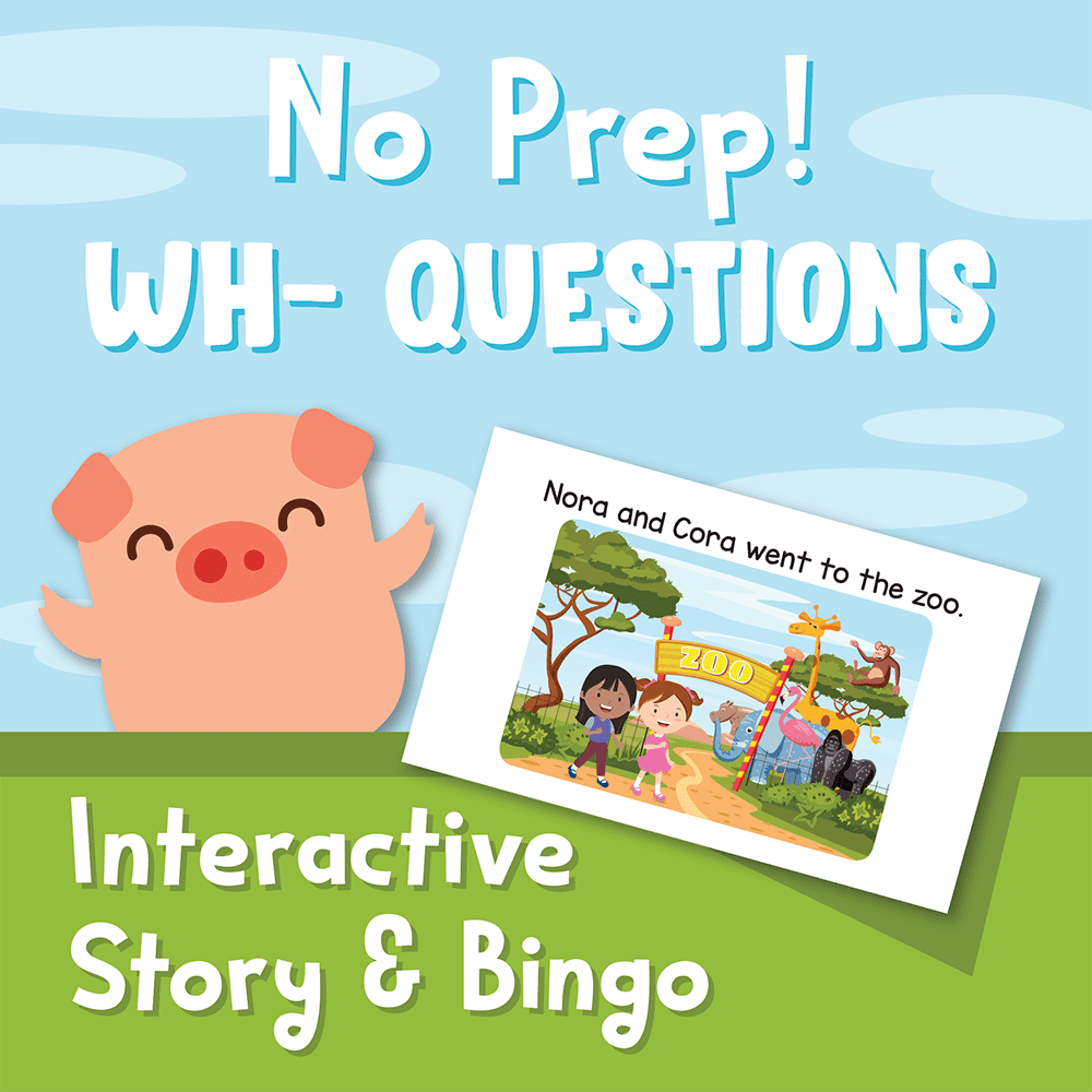 No Prep WH Questions Story and Bingo TMV